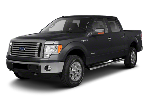2010 Ford F-150 Base