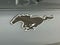 2023 Ford Mustang Mach-E California Route 1