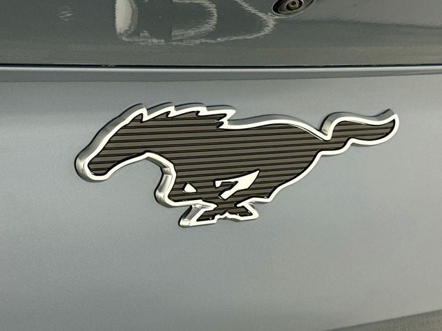 2023 Ford Mustang Mach-E California Route 1
