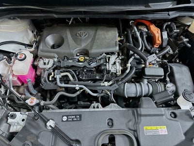 2021 Toyota Sienna XLE 7 Passenger