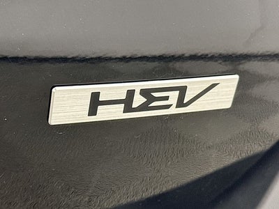 2025 Kia Carnival Hybrid SX